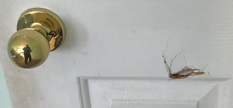 interior door hole repair Pico Rivera